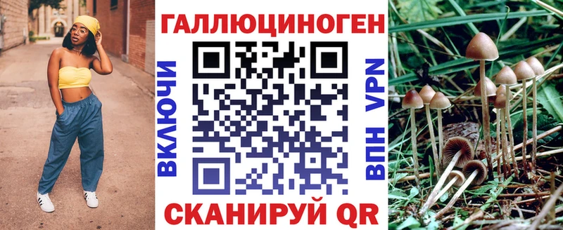 продажа наркотиков  blacksprut вход  Псилоцибиновые грибы Psilocybine cubensis  Раменское 